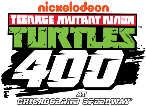 Teenage Mutant Ninja Turtles 400 2016-Pres Primary Logo iron on transfers for clothing